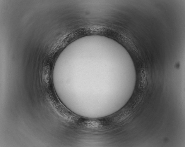 X0000116100698200912071300