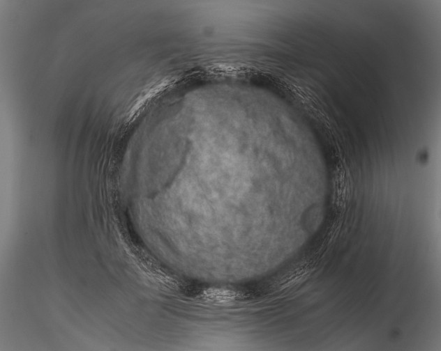 X0000116100699200912071300