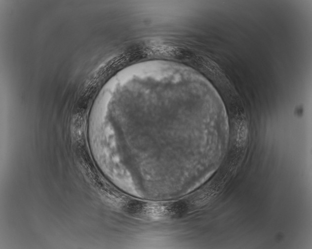 X0000116100701200912071300