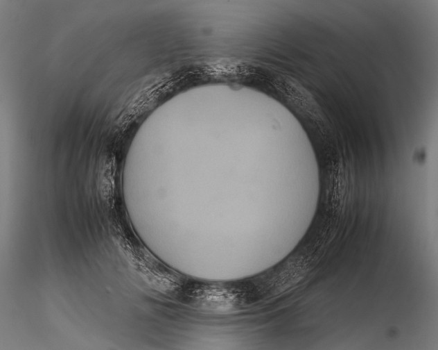 X0000116100702200912071300