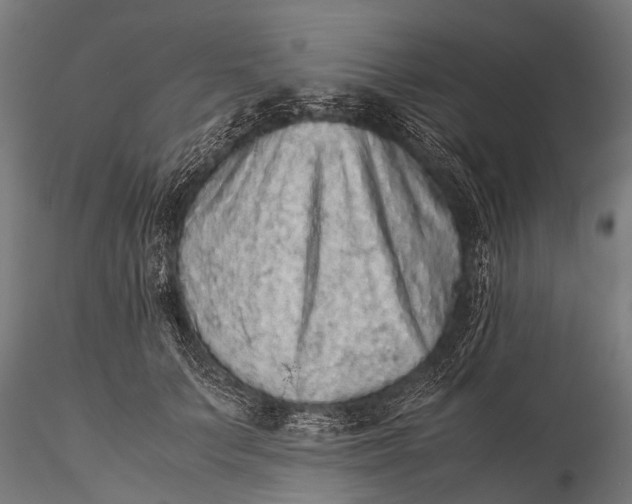 X0000116100703200912071300