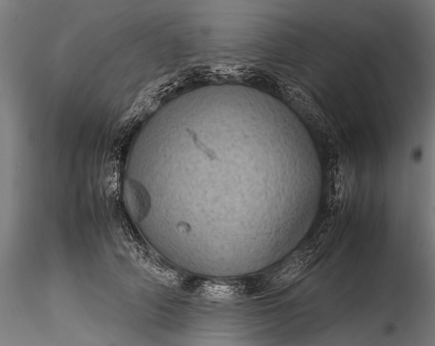 X0000116100706200912071300