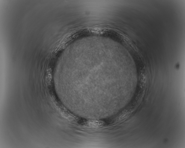 X0000116100707200912071300