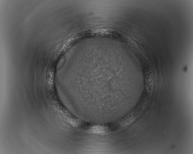 X0000116100708200912071300