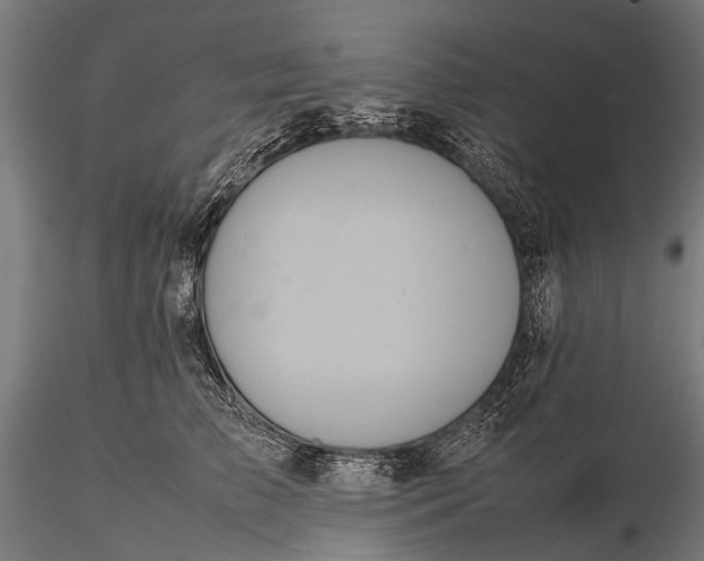 X0000116100709200912071300