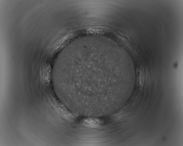 X0000116100712200912071300