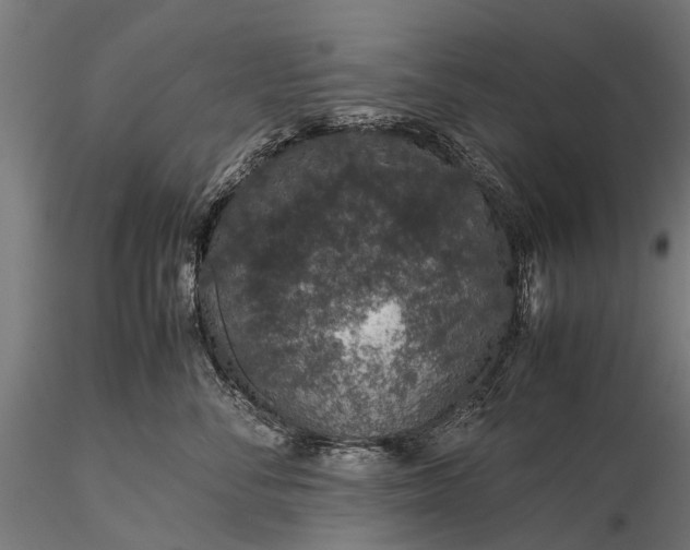 X0000116100716200912071300