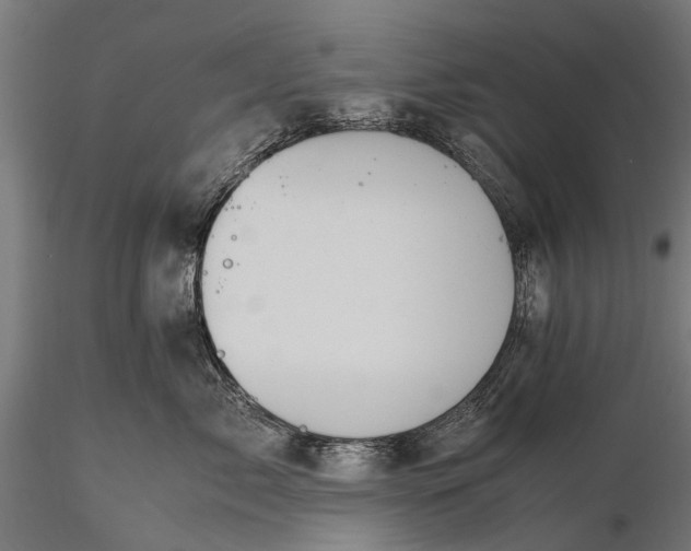 X0000116100717200912071300