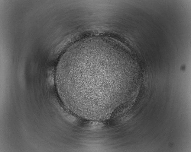 X0000116100719200912071300