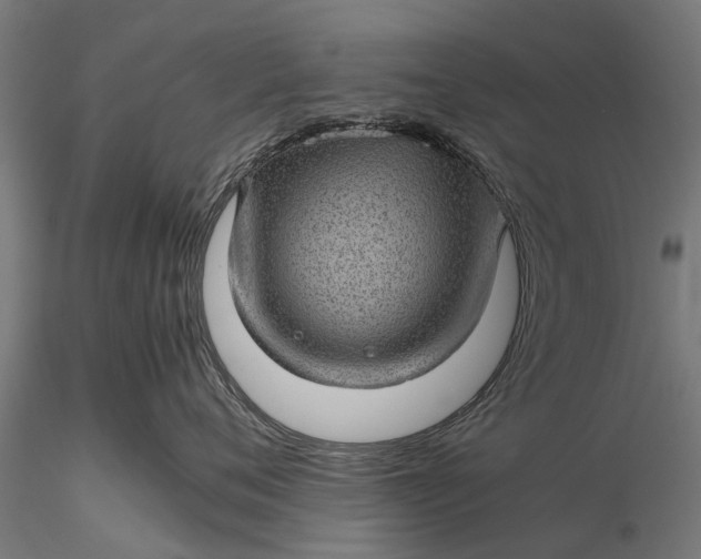 X0000116100720200912071300