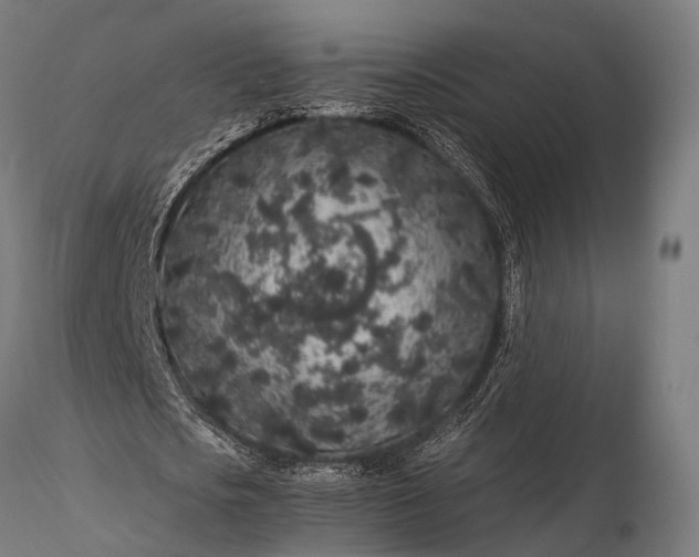 X0000116100721200912071259