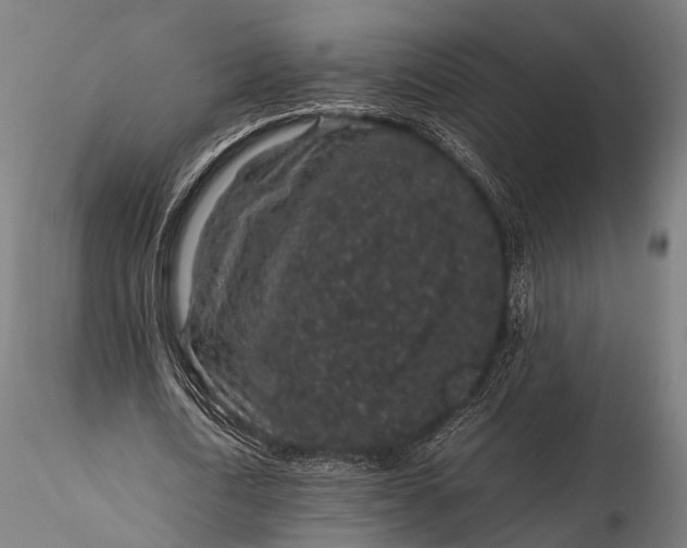 X0000116100722200912071259