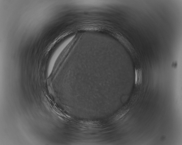 X0000116100723200912071259