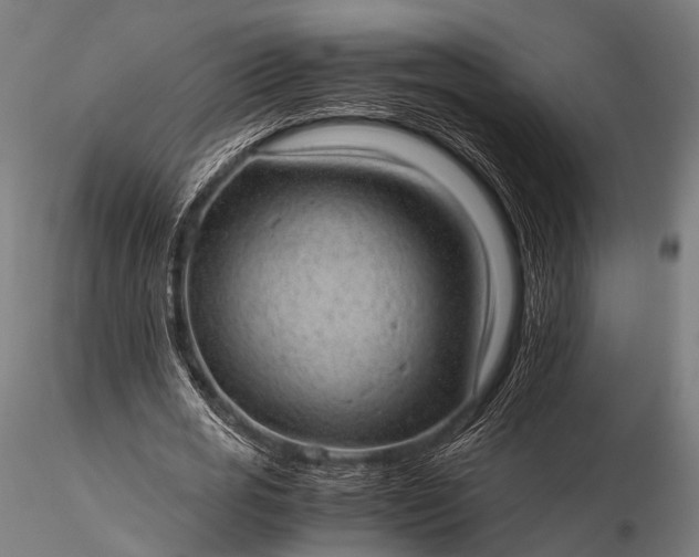 X0000116100725200912071259