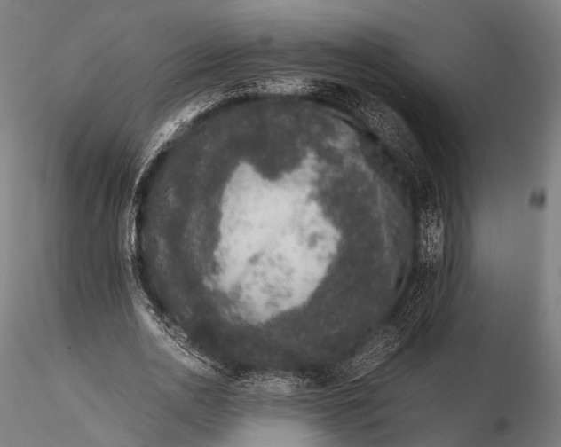 X0000116100726200912071259