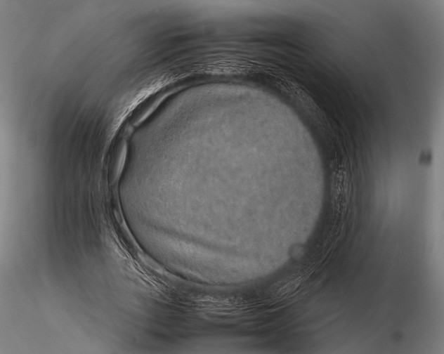 X0000116100727200912071259