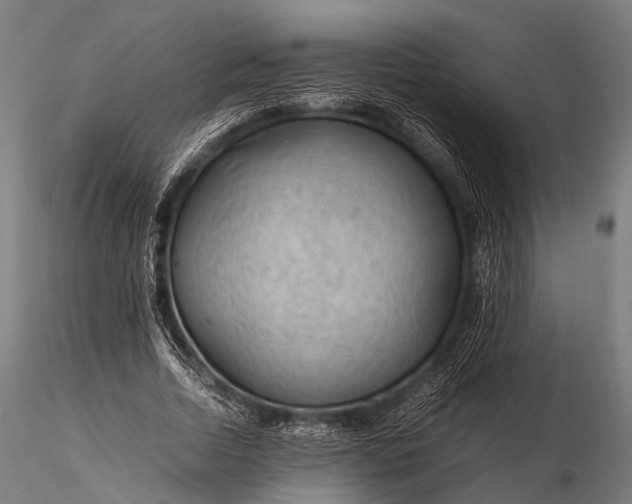 X0000116100730200912071259