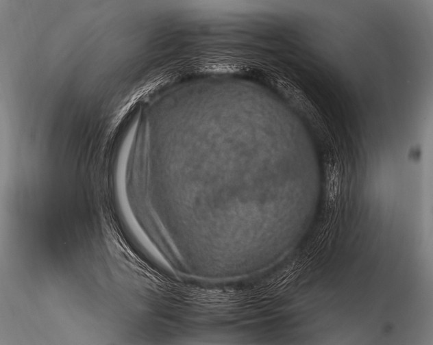 X0000116100731200912071259