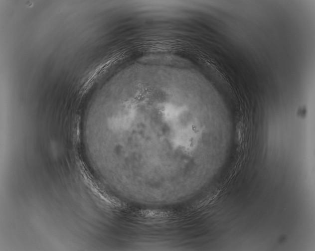 X0000116100733200912071259