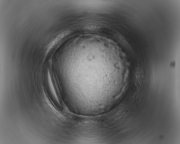 X0000116100734200912071259