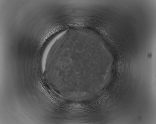 X0000116100735200912071259