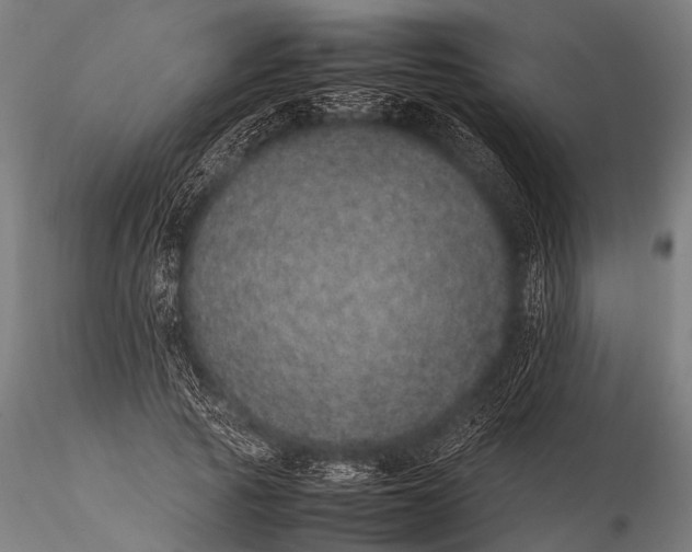 X0000116100737200912071259