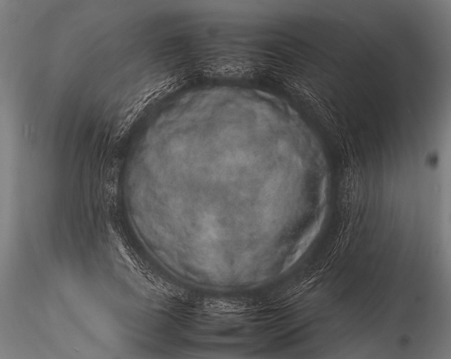 X0000116100739200912071259