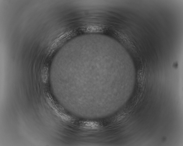 X0000116100741200912071259