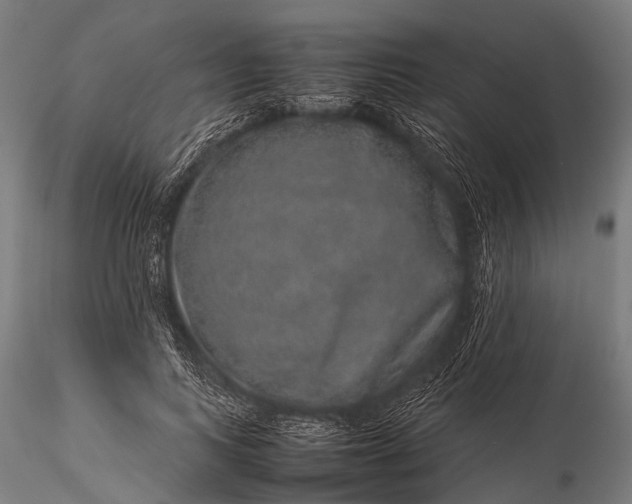 X0000116100743200912071259