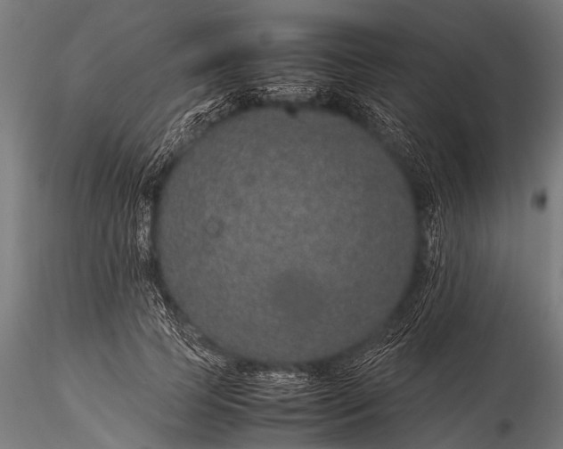 X0000116100745200912071259