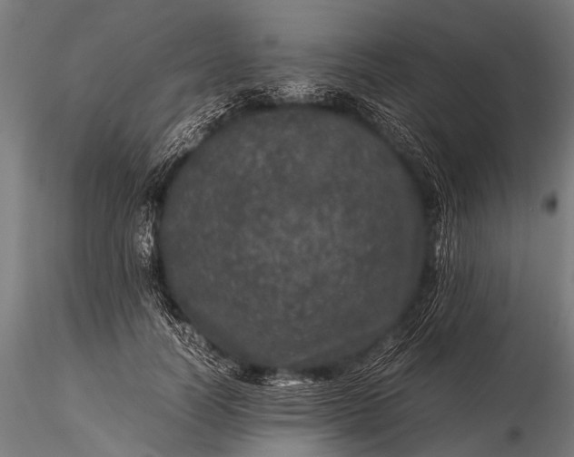 X0000116100746200912071259