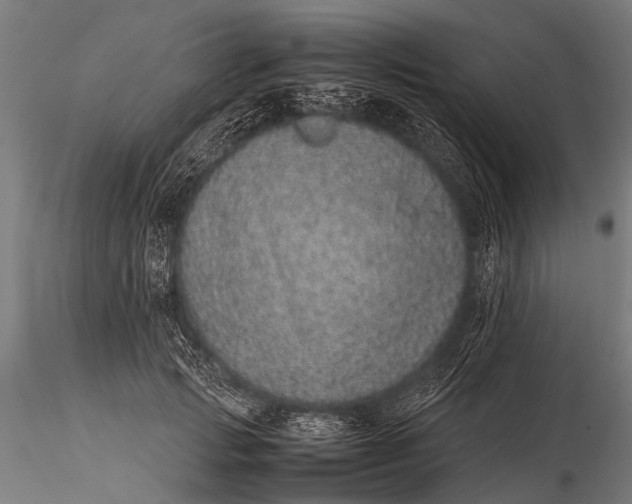 X0000116100749200912071259