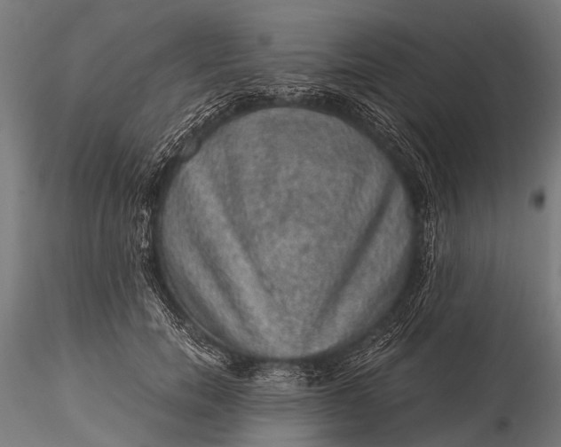 X0000116100750200912071259