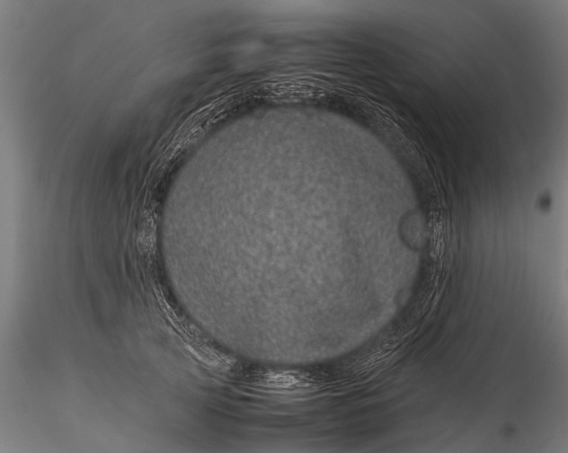 X0000116100753200912071259