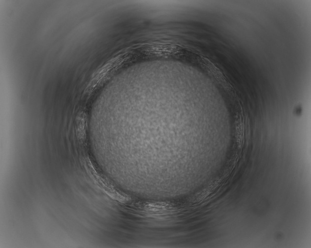 X0000116100757200912071259