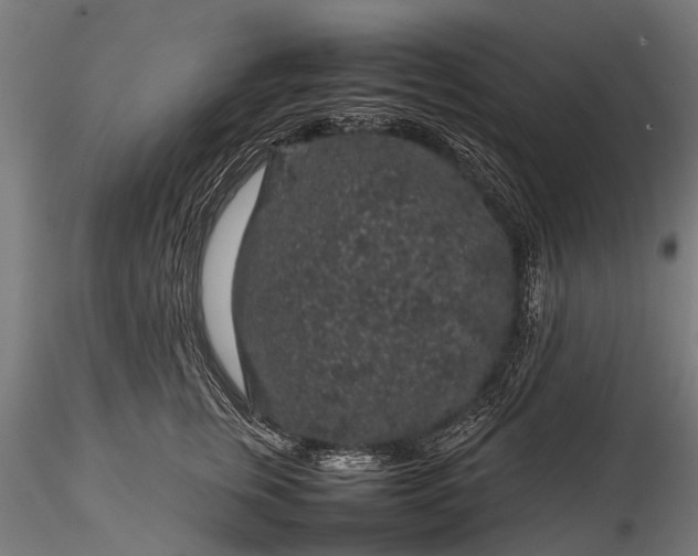 X0000116100759200912071259