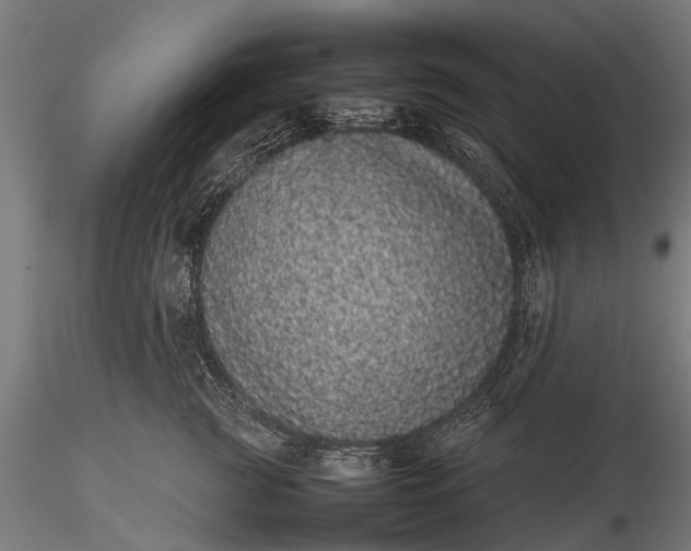 X0000116100761200912071259