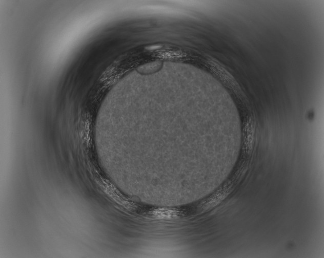 X0000116100762200912071259