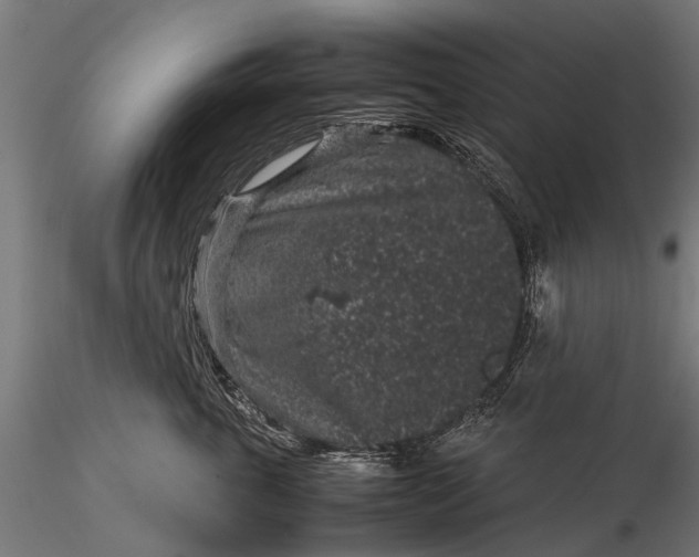 X0000116100763200912071259