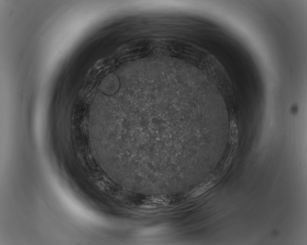 X0000116100765200912071259