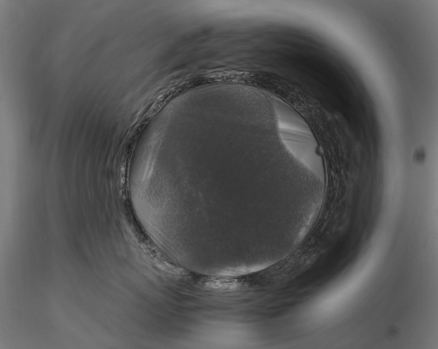 X0000116100767200912071300