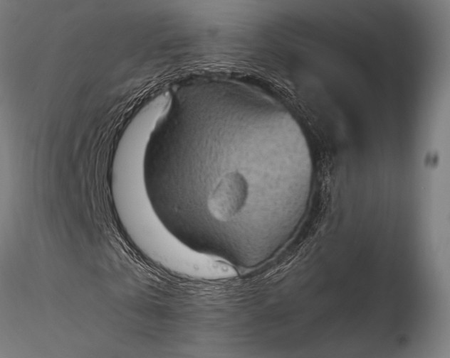 X0000116100769200912071259