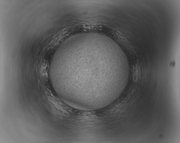 X0000116100770200912071259