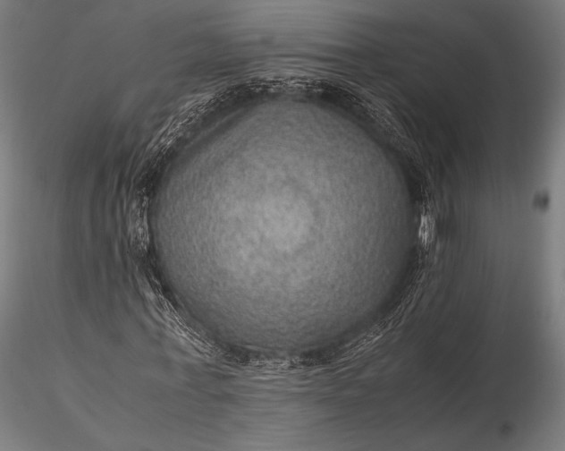 X0000116100771200912071259