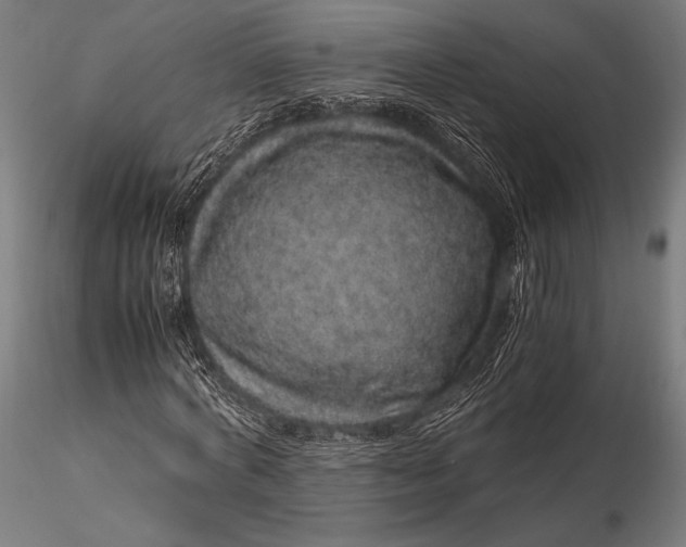 X0000116100772200912071259