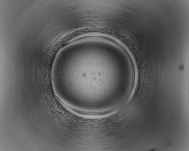 X0000116100773200912071259