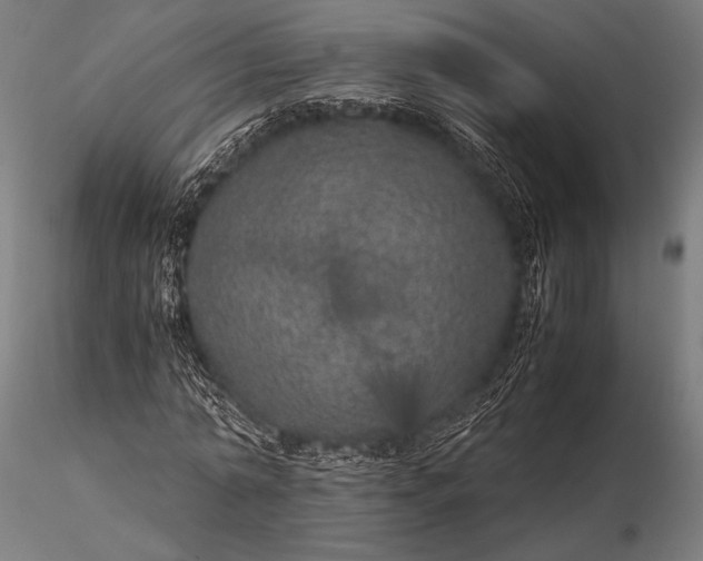 X0000116100774200912071259