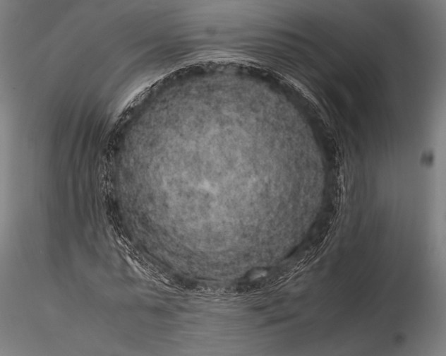 X0000116100775200912071259