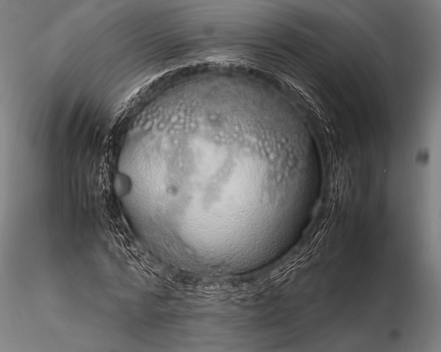 X0000116100776200912071259