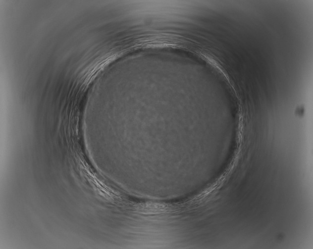 X0000116100777200912071259